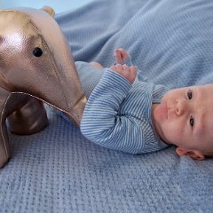 IMG 566